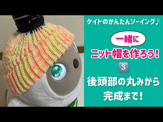 ニット帽を一緒に作ろう！③後頭部の丸みから完成まで！（LIVE配信