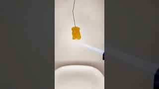burn Gummy Bears##short #shorts #experiment