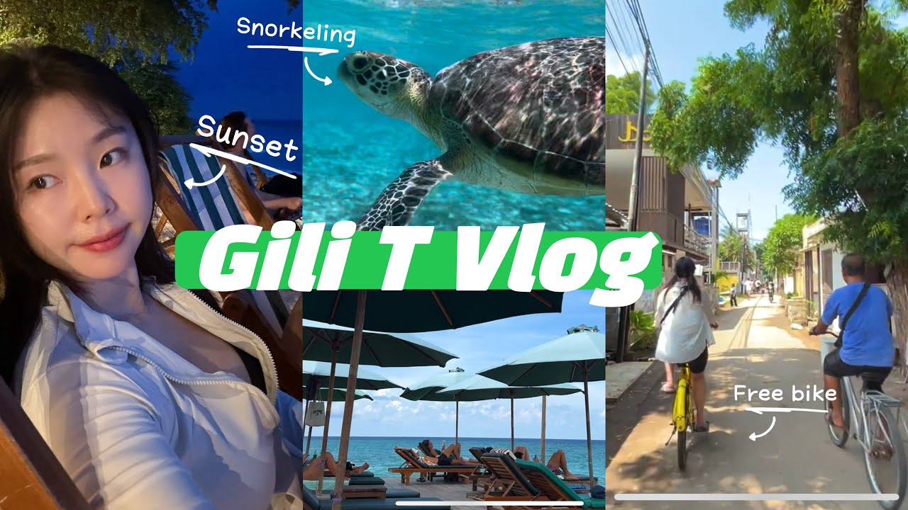 [ENG Sub] ✰ 3박 도합 5만원 길리 민박집  | GILI TRAWANGAN VLOG | Only 로컬액티비티 🐢 | 입도부터 거북이 스쿠버다이빙까지 |