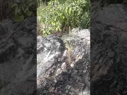 Vídeo: Pico De Adam E Impressão De Pegada De Pedra - Visão Alternativa