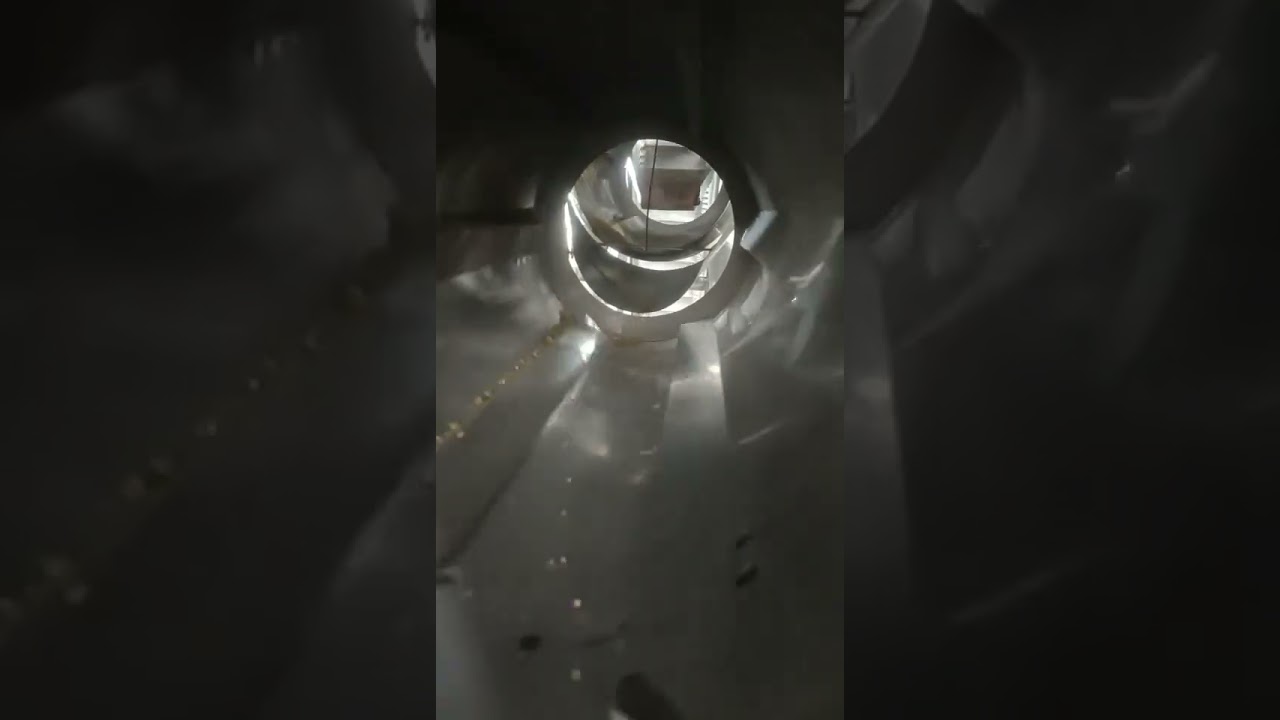 Double drum seasoning flavoring machine for pet food  