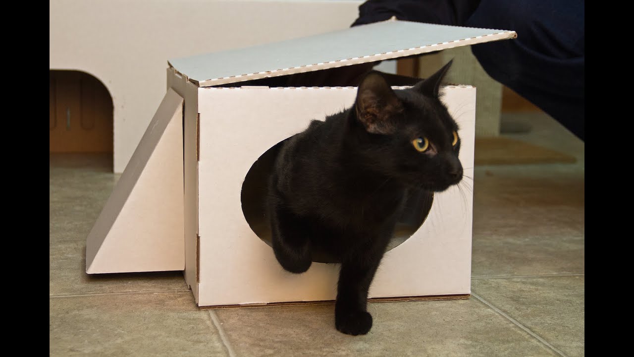 Cat Box Kingdom - Cats love boxes!