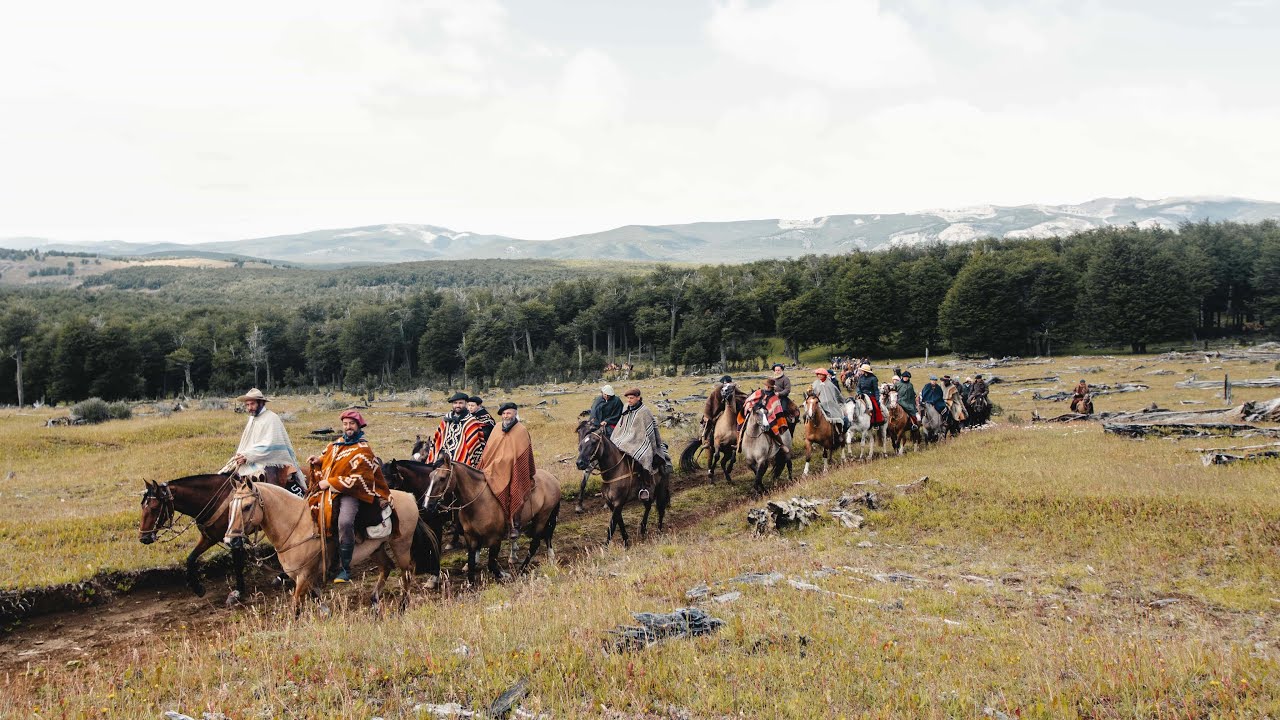 300 caballos criollos de cabalgata en la patagonia Argentina