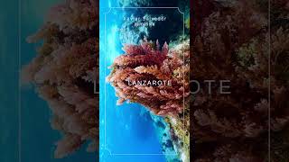 BIOBLITZ Citizen Science Day (MINKA) by Pharos Project