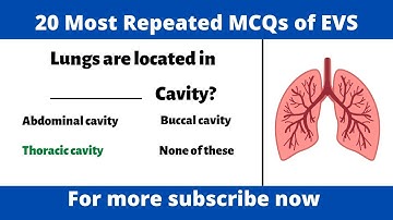 20 Important MCQs of Everyday Science | Sir Naeemullah Mahar