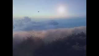 Glo Phase - Cloud Dome