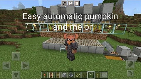 Easy automatic pumpkin and melon farm | 1.19 | Minecraft Bedrock and Java |