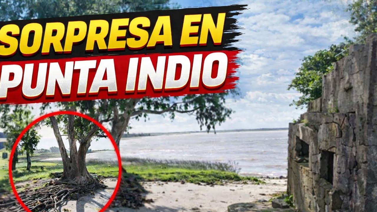 “ESTO ES PUNTA INDIO”