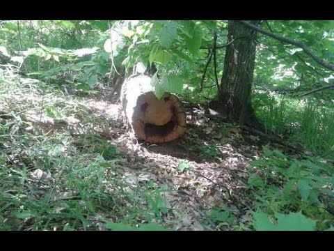 Своими Руками из дерева