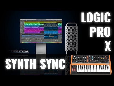 DAW & SYNTH