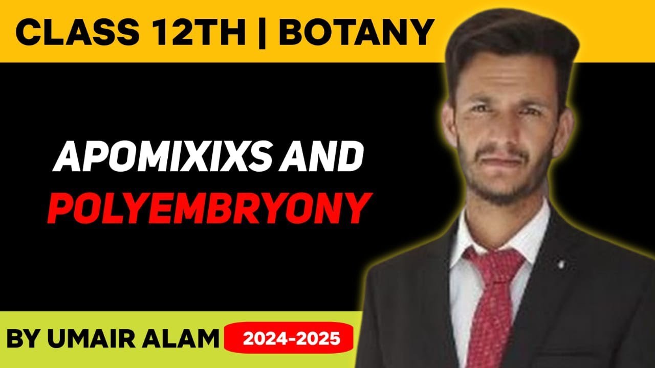 Apomixixs  and polyembryony