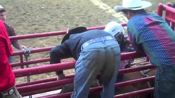 Cowgirl Bull Rider Stephanie Boland in Guiges