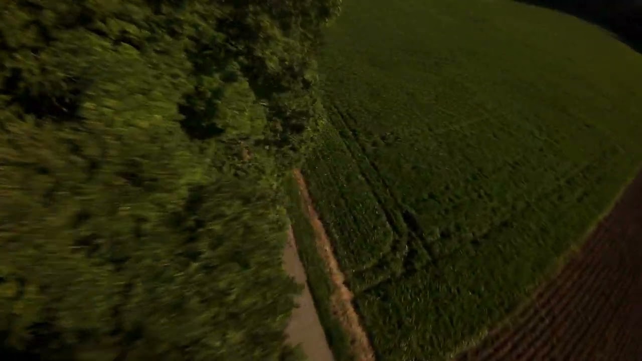 Sonntags - "Ausflug"