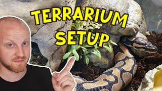 Baby Ball Python Enclosure Setup [Python regius]