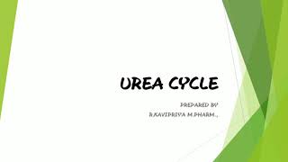 Urea Cycle|Ornithine cycle in Tamil|Tricks for Urea cycle|Enzymes of urea cycle |Ammonia into Urea
