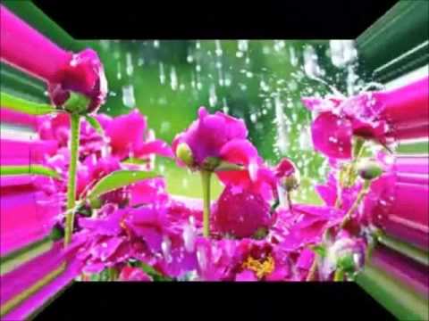 一生所愛 - 盧冠廷