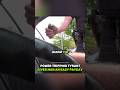 Power Tripping Tyrant Gives Man An Easy Payday