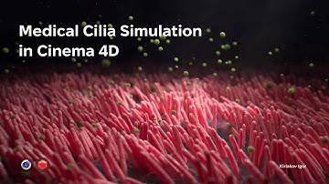 Medical Animation in Cinema 4D: Creating Cilia Simulation