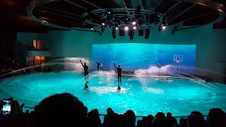 Dolphin Show In 4K - Dolphinarium (Delfinariumas - Lithuania, Klaipėda, Smiltynė) | HD