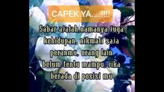 Story Wa Terbaru 2021 - Shollalohu Alaihi Wasallam || Biola Cover || puthu wedok