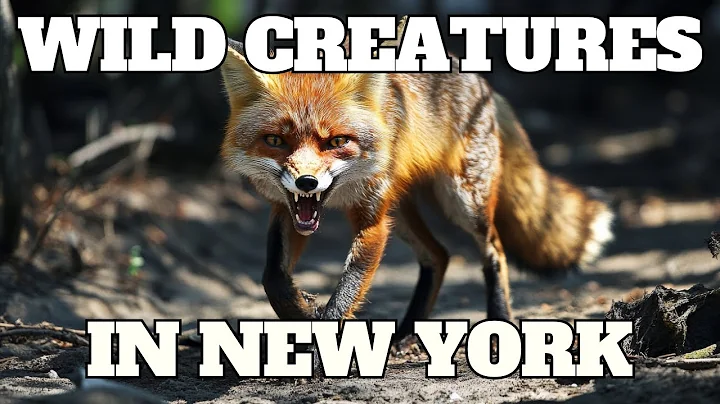 7 Wild Creatures Thriving in New York