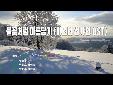 [은성 반주기] 불꽃처럼아름답게(미스터션샤인OST) - 신승훈