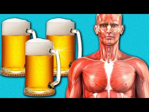 Видео: Почему пиво обезвоживается?