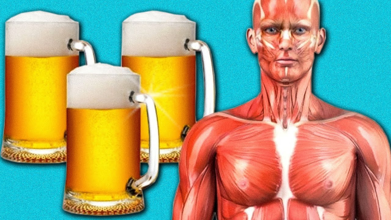 Смотрите, что Происходит с вашим Телом, когда вы пьете Пиво каждый день