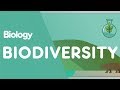 Biodiversity: Exploring Life's Variety and Its Global Significance