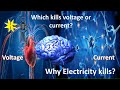 Current vs voltage  which is the killer  why electricity kills  explanation in tamil