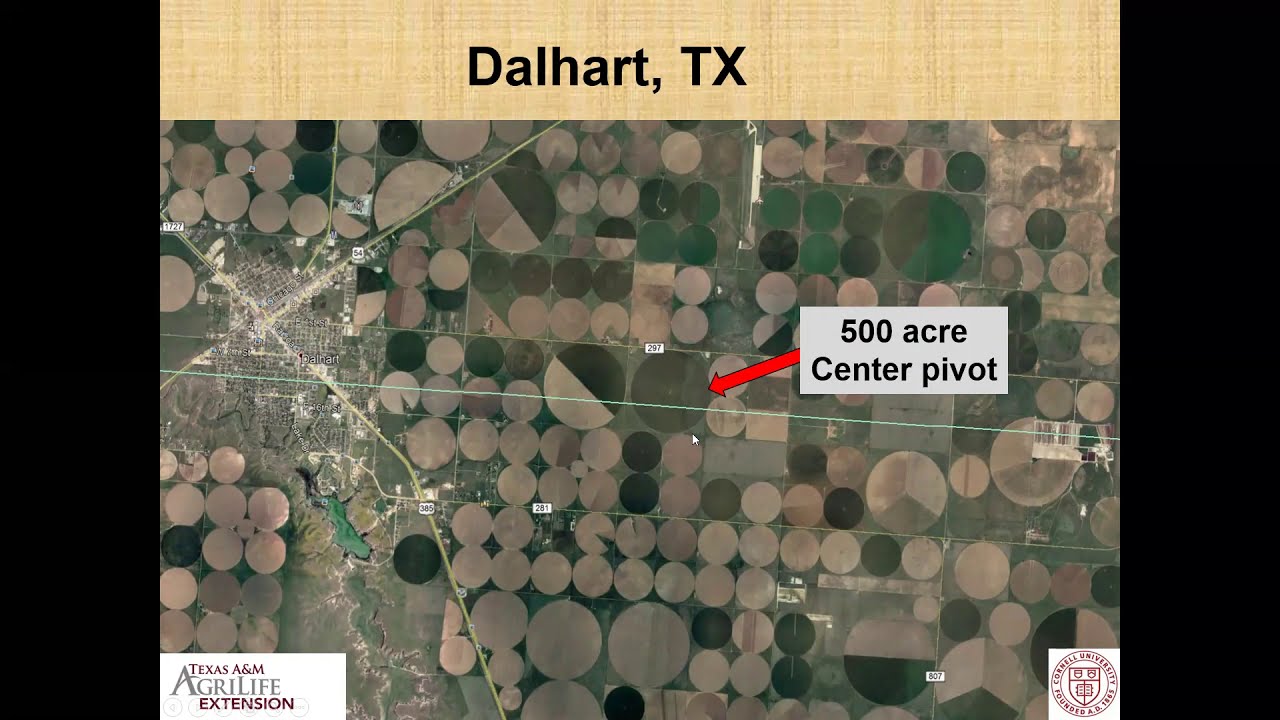 Research Results Using Persistent Entomopathogenic Nematodes For Corn Rootworm Control 2021