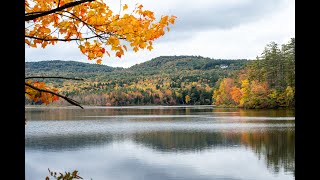 New  Hampshire Foliage 2023