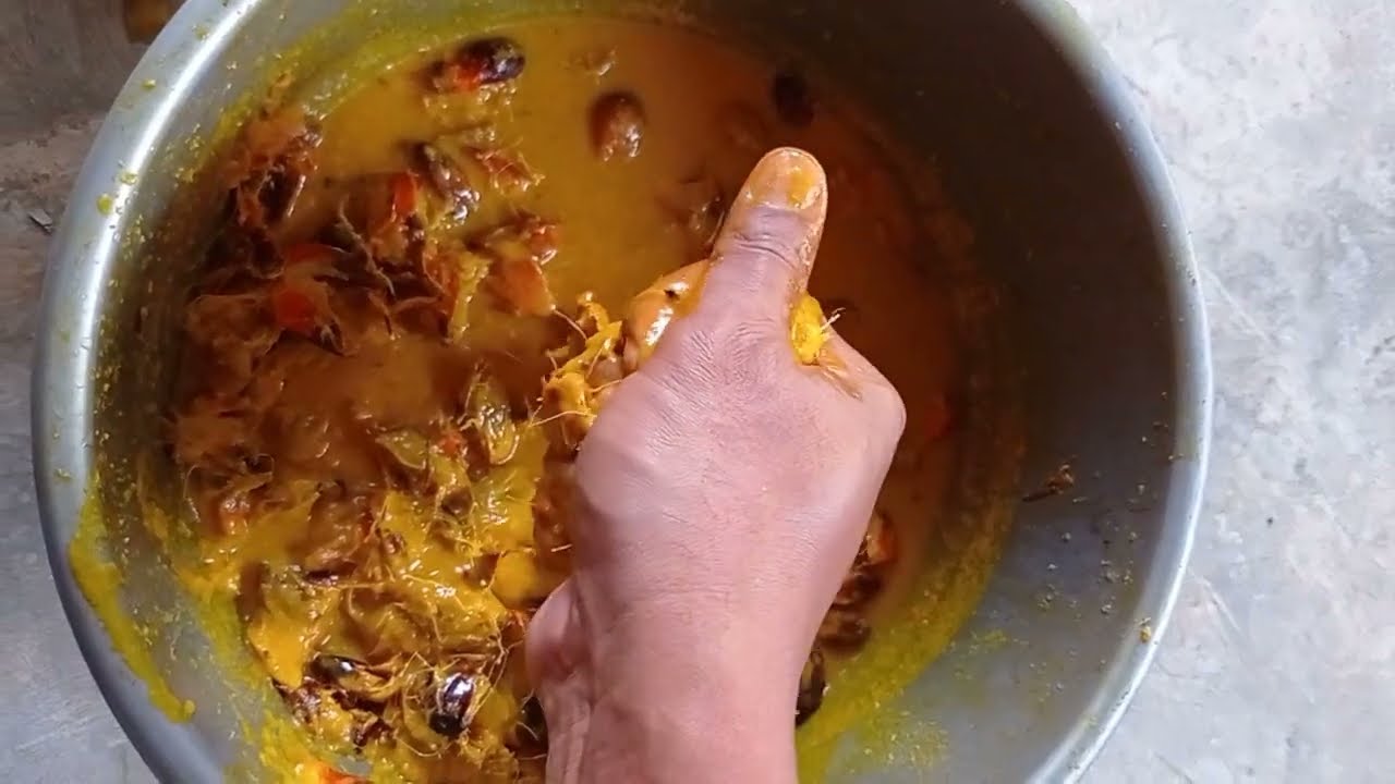 cara membuat cpo untuk campuran umpan mancing | umpan kelapa sawit