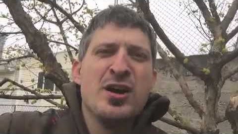 8 марта с Ундервудом. Максим Кучеренко