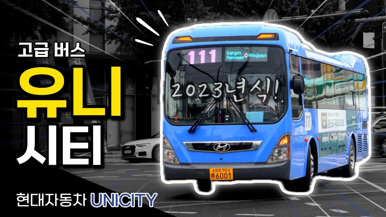 특이한 포지션을 담당하던 차종, 현재 단종됐다? / 현대 유니시티 (2023)