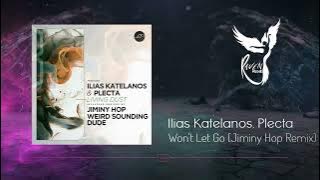 Premiere: Ilias Katelanos, Plecta - Won't Let Go (Jiminy Hop Remix) [Movement Recordings]
