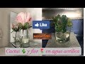 DIY-CACTUS 🌵Y 🌷  EN AGUA ACRILICA-LA CRUZ TV