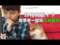 【柴犬Nana(奈奈)】終極挑戰!?阿楞跟奈奈一起玩「八分音符醬」