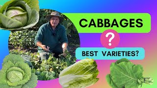 Growing Cabbages - The Best Varieties 4 Cabbage Varieties To Grow