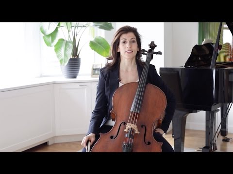 Dvorak Cello Concerto: First Movement - Musings with Inbal Segev