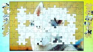 puzzle #610 gameplay || hd new wolf jigsaw puzzle games || @combogaming335 screenshot 2