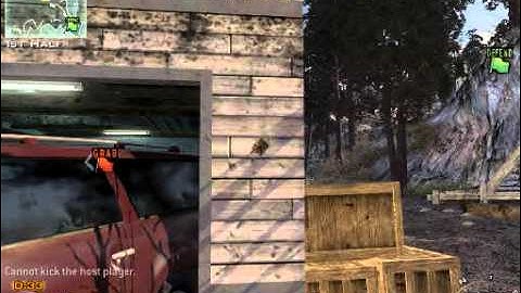 MW2 alterIWnet No Cross-hairs bug PLEASE HELP!