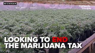 As Michigan cannabis revenue drops 16% in January, senators seek repeal of wholesale tax