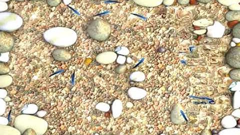 Richtech Interactive Floor - System Features Training