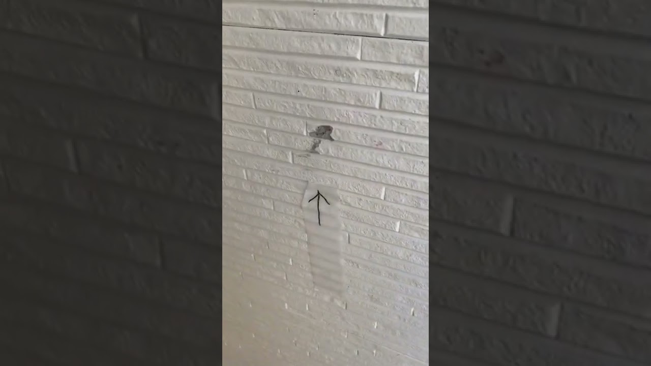 外壁サイディングしました リフォーム リペア Diy Short 補修 サイディング 外壁塗装 外壁 Youtube