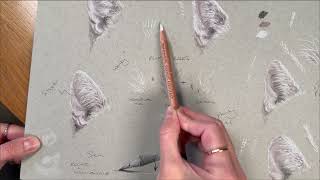 [ABC] Art Without Overthinking: Drawing Cat Ears with Three Pencils