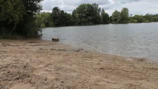 Biesdorfer Baggersee - Naturaufnahme - Mahe.berlin