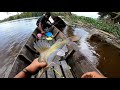 MANCING IKAN BAUNG UMPAN KUCUR HASILNYA JOSS