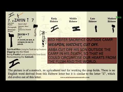 Zayin 7 the