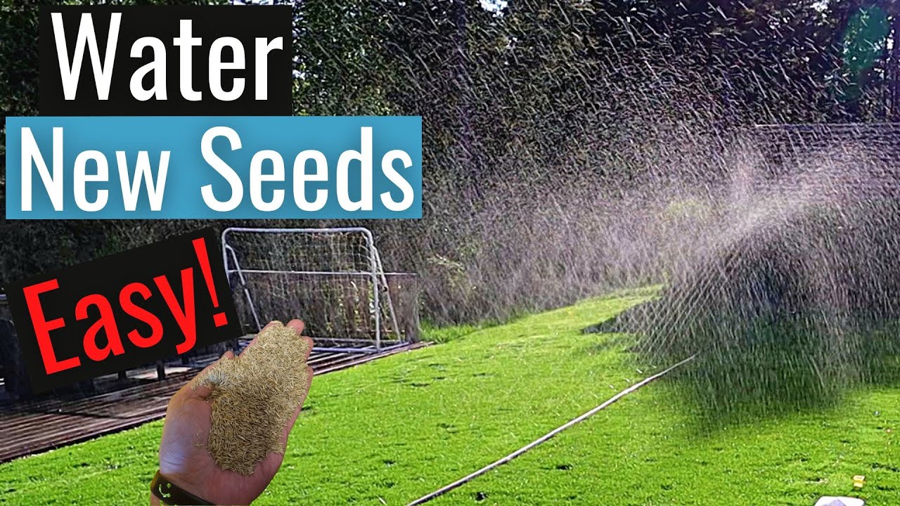 SumiSoaker - Is This the SECRET to Perfectly Watering Your Seeds?!